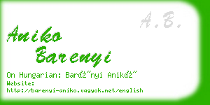 aniko barenyi business card